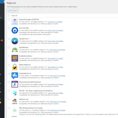 Jak zaktualizować WordPress bez błędów i utraty danych – prosty poradnik