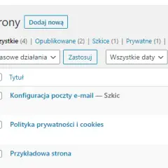 Jak opublikować stronę WordPress bez błędów i udostępnić ją w internecie